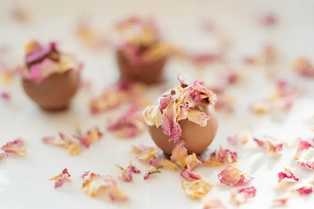 Coin365Bet Casino Android/iOS Forrit